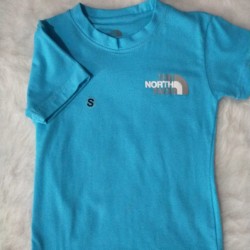 North Face Tea shirt
